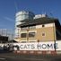 Battersea Dogs and Cats Home