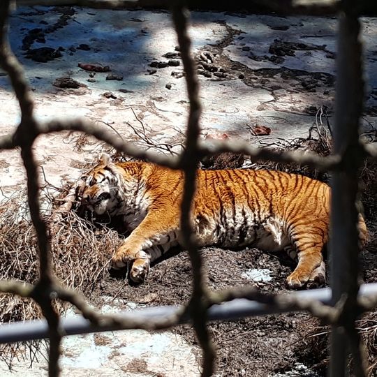 Tristate Zoological Park