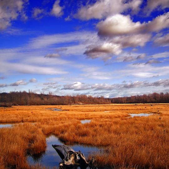 Parc d'État de Gouldsboro