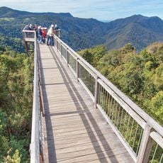 Dorrigo National Park