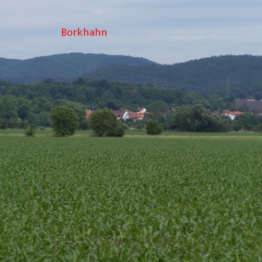 Borkhahn