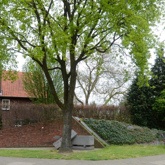 Wederopstanding is bevrijding