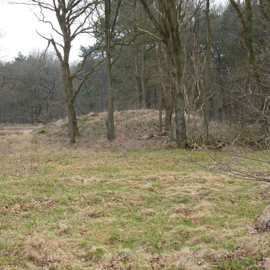 Terrein met twee grafheuvels