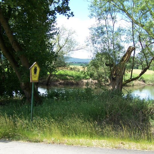 Werraaue mit Altarmen bei Unterrohn