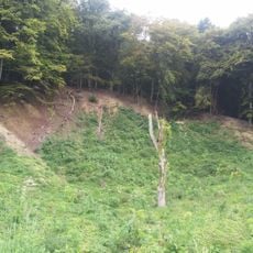 Krijtrots van Heimans