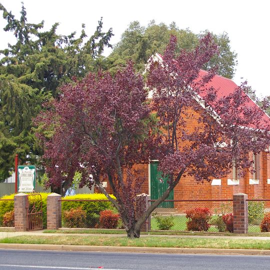 St Patrick's Roman Catholic church
