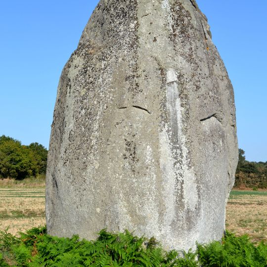 Menhirs du champ de la Pierre