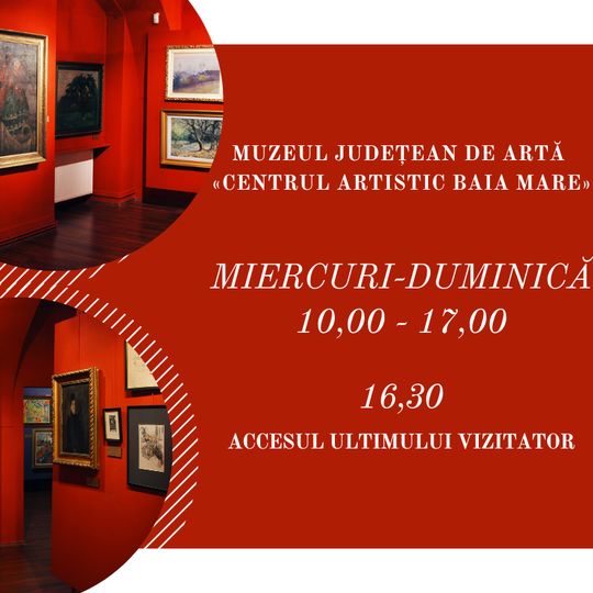 "Baia Mare Art Centre" Fine Art Museum