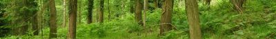 Panoramautsikt 1