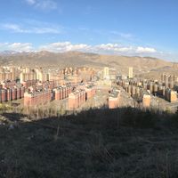 Altay
