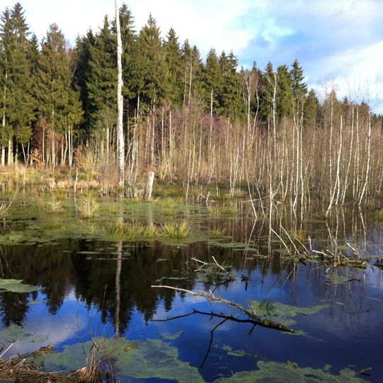 Naturschutzgebiet 'Haspelmoor'