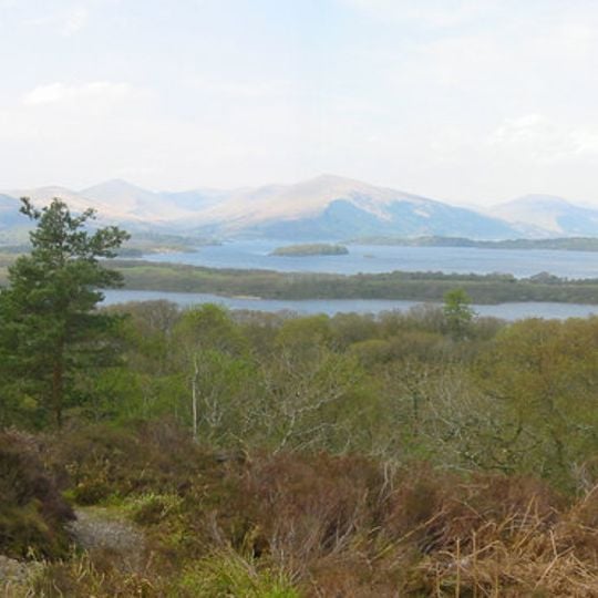 Loch Lomond National Nature Reserve