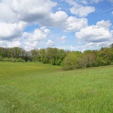 Pflanzenstandort Buchenklinge/Egerten