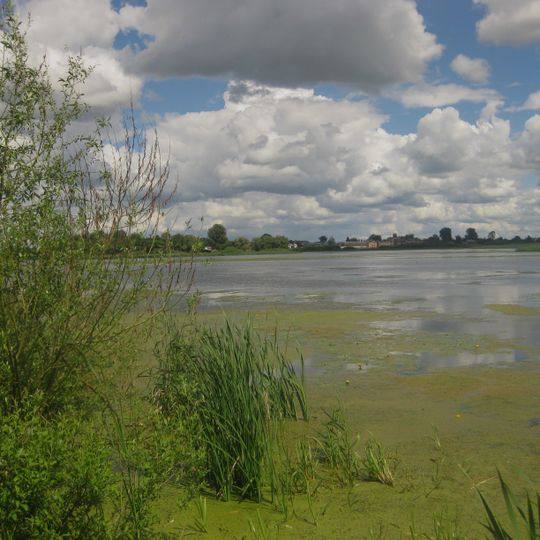 Starokostiantynivskyi Zakaznyk