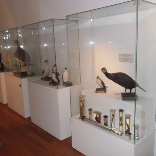 Naturhistorisches Museum Dubrovnik