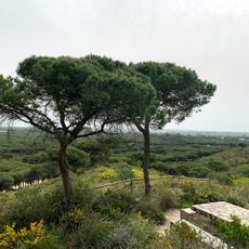 Punto Magico "La Espartosa"