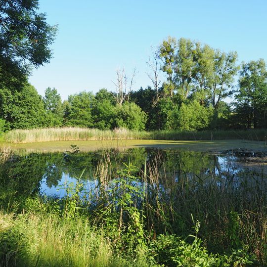 Naturdenkmal Nixenteich in Schullwitz