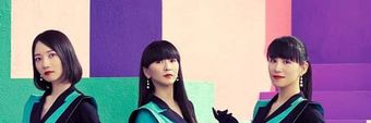 Perfume Profile Cover