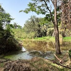 Abuko Nature Reserve