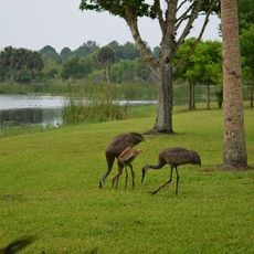 Fox Lake Park