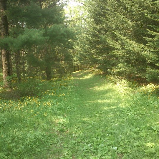 V.K. Komarov Mountain-Taiga Station