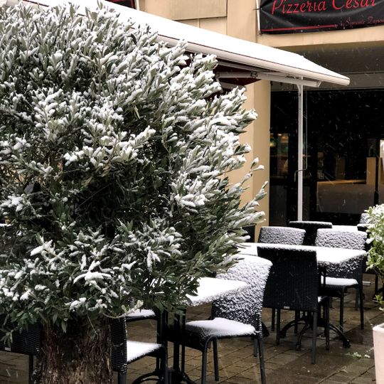 Pizzeria César