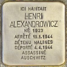 Henri Aleksandrowicz