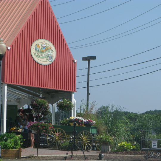 Springdale Farms