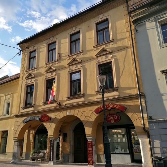 Bergman House, Novo mesto