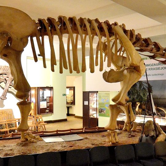 Museum of Evolution of Polish Academy of Sciences