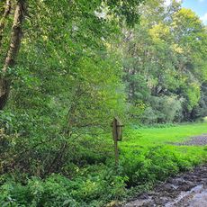 Leucojum vernum meadow near Narsdorf