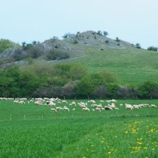 Scheffelberg/Kalberstert
