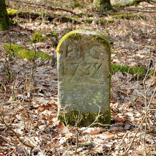 Grenzstein Hessen HC-HD N341 1738