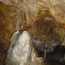 Sontheimer Höhle (a) mit Rotbuche (b) am Höhleneingang