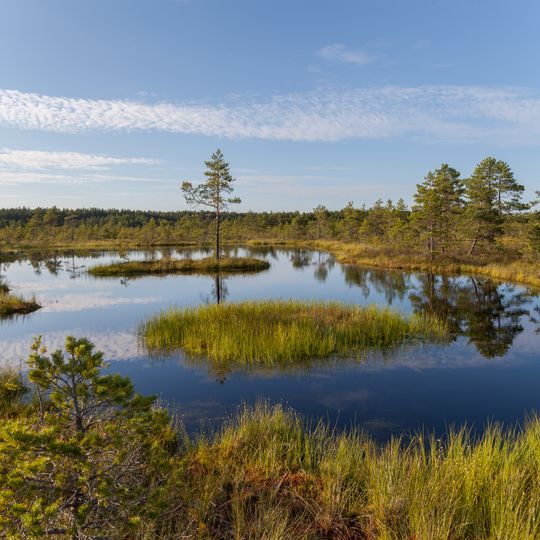 Viru Bog