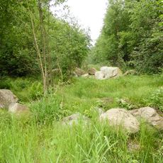 Solifluktionsblöcke im Prackenbachtal