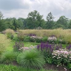 Mountain Top Arboretum