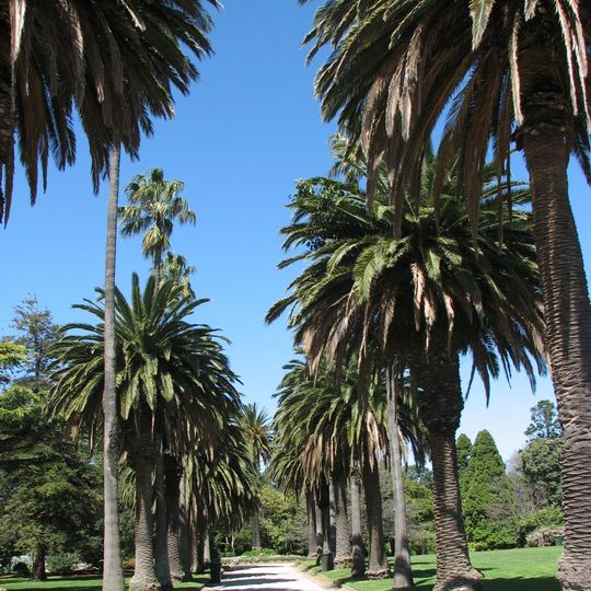 St Kilda Botanical Gardens