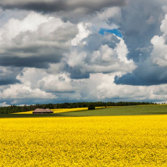 Jõgeva Rural Municipality