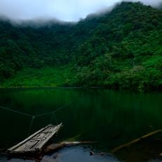 Mindanao montane rain forests