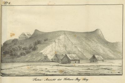 Immagine alternativa