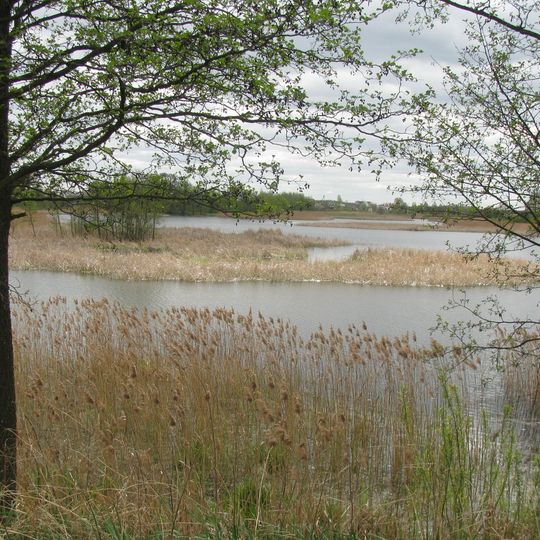 Жодзінскае вадасховішча