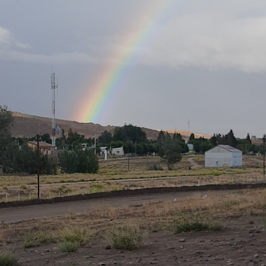 Collón Curá Formation