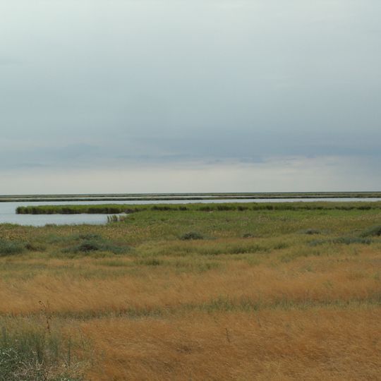 Réserve naturelle de Korgaljyn