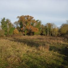 Fulbourn Fen