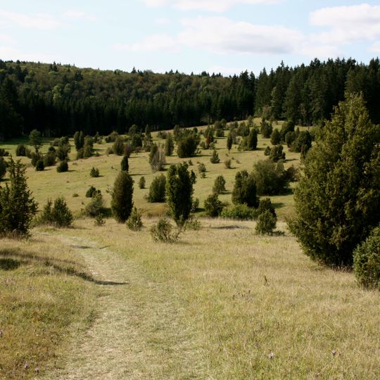 Glastal, Großer Buchwald und Tautschbuch