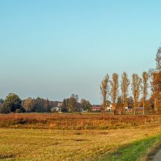 Wiesen westlich der Vogelbacher Mühle
