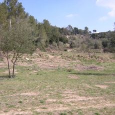 Quintana de les Oliveres