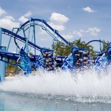 Manta
