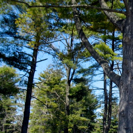 Harrison Lake State Park